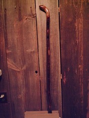 walking stick natural grown ROOT KNOB HANDLE for AVERAGE sized hands MADE IN USA