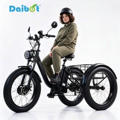 Daibot 24″ Fat Tire Mobility Trike 750W Adult All Terrain Cargo Shopping Scooter