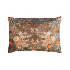 Creative Co-Op Cotton Velvet 24 inches x 16 x 0.5 inches, Multicolor