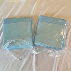 Secure Personal Care Products Underpads 23 x 36 in Blue, 10 Count (2 Packs)
