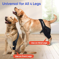 Dog Knee Brace for Torn ACL Pain Relief Support for Front or Hind Leg Large