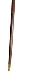 Vintage Boar Tusk Cane / Walking Stick