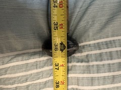 Vintage Wood Came With Brass Handle