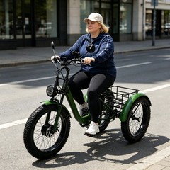 Daibot 24″ Fat Tire Mobility Trike 750W For Adults All Terrain Shopping Travel