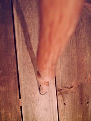 walking stick cane Antler handle MAPLE wood shaft very stiff CUSTOM MADE IN USA