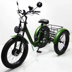 Folding 350W Adult Electric Tricycle, 3 Wheel E-Bike, Removable Battery, Basket