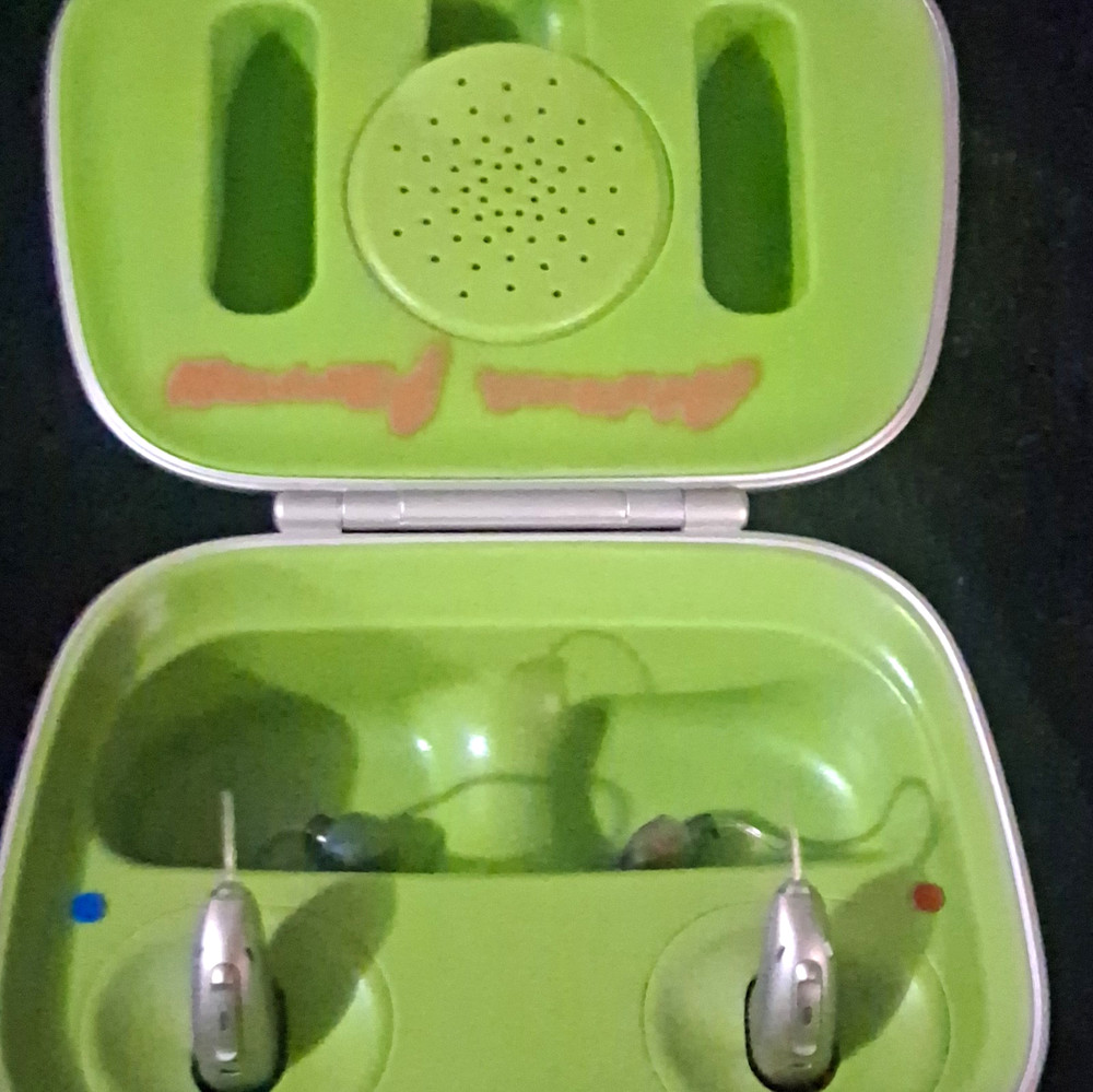 Phonak Charger Case Combi Hearing Aid Charger Case CE Certified Silver/Green