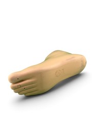 OTTOBOCK Otto Bock 1D35 sach Prosthetic Foot. Size 26. Right Foot.