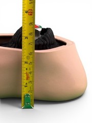 College Park Celsus Prosthetic Foot. Size 24, Right Shell, Category 2.