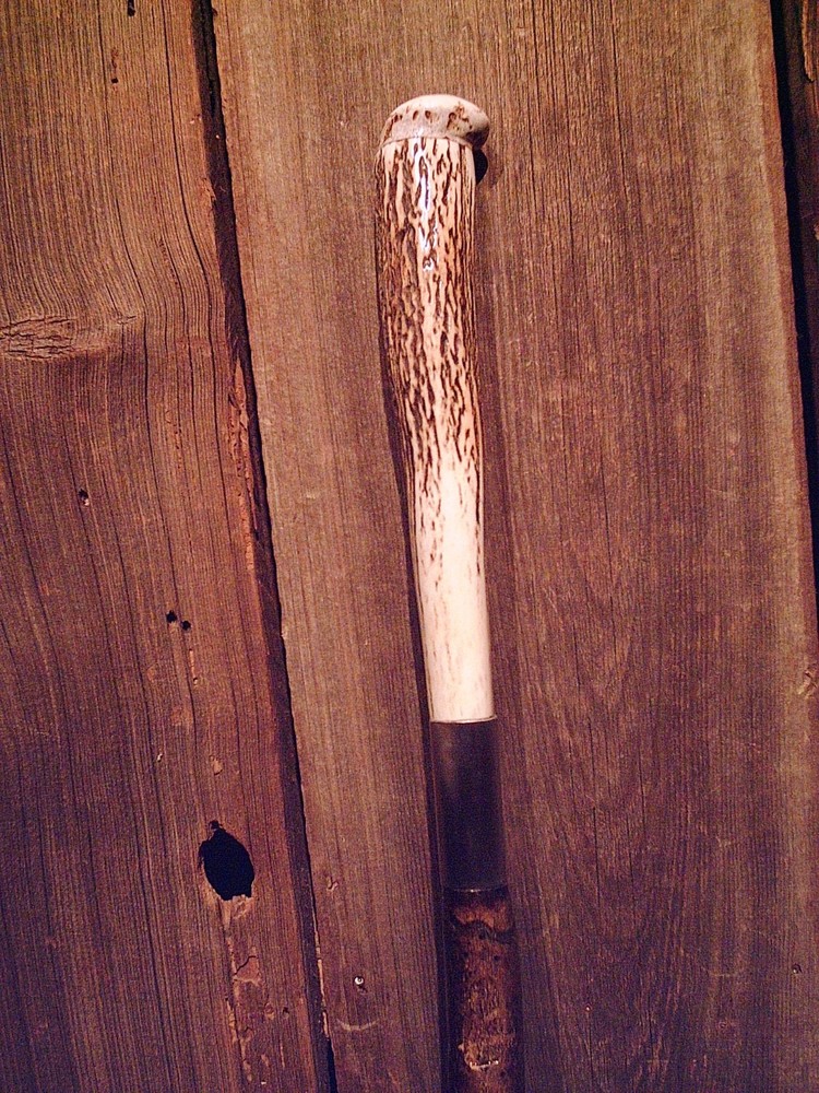 walking stick MOOSE ANTLER TINE handle VINE SPIRALED wood shaft HANDCRAFTED USA