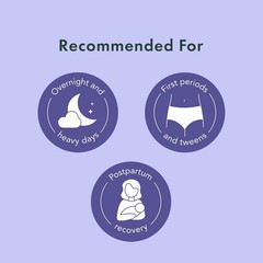 Rael 20 Pack Organic White Women’s Large / Extra Large Disposable Underwear