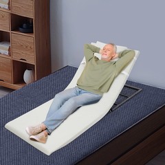 330LBS 600W Adjustable Electric Lifting Bed Backrest For Elderly Pregnant Women