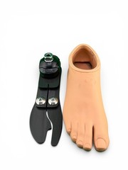 ossur pro-flex Proflex LP prosthetic foot, size 24, category 4, right