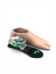 College Park K2 Odyssey Hydraulic Ankle Prosthetic Foot. Size 25. Category 2
