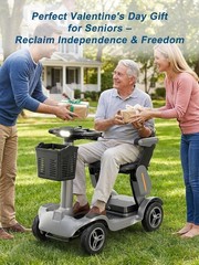 ZIPPYGO Peak 1000W 4-Wheel Electric Mobility Scooter 35-Mile Power Wheelchair US