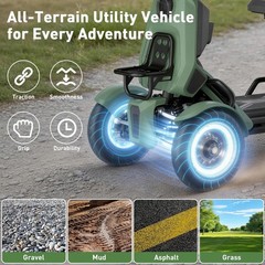 500/1000W Electric Mobility Scooter for Adults with Cargo Platform All Terrain