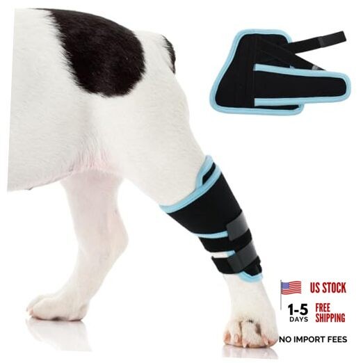Dog Leg Brace Medium, M（Leg Length 5.5in，Upper Leg Circ 6.7in） Blue