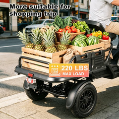 1000W 4 Wheel Mobility Scooter Speed 15.5 MPH All Terrain Electric Scooter NEW