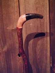 walking stick BLACK WATER BUFFALO handle for smaller sized hands MADE IN THE USA