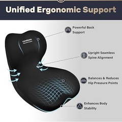 Car Seat Cushion and Lumbar Support Pillow One Piece, Memory Foam