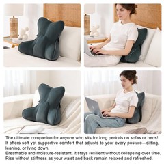 Lumbar Pillow(Pat. Pend) for Lower Back Pain – Multi-Functional Ergonomic Lum…