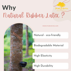 PREMIUM LATEX INSOLE 6MM THICKNESS MADE IN MALAYSIA – SUITABLE FOR TYPE B SHOES