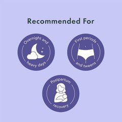 Rael Organic Cotton Cover Period Underwear, Maximum Absorbency, L/XL, 20 Count