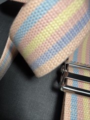 Gait Belt Belt Pink Yellow Blue Pastel Color Silver Hardware 4FT Length 2″ Wide