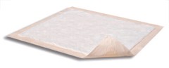Dri-Sorb Plus Underpad 30 X 36 Inch Moderate Absorbency – 100/Case