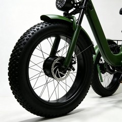Daibot 750W 24 Inch Fat Tire Mobility Trike for Adults All Terrain Shopping