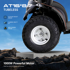 1000W Four-Wheel Mobility Scooter Heavy Duty All-Terrain Electric Scooter 600lbs