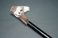 Classy Walking Stick Strolling Stick With Hirschhorn Handle Lion 31 1/2in