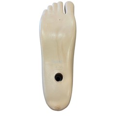 Prosthetic SACH Foot Beige/Brown | Size 12–30 | Left/Right | Universal Fit