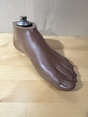 WillowWood SACH Prosthetic Foot with Integrated Titanium Pyramid 25cm