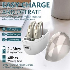 Behind-The-Ear Severe Hearing Loss Hearing Aid Noise Reduction w/ Charging Case