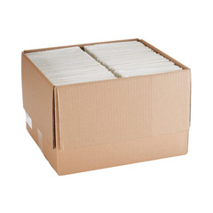 Disposable Towels [Pack of 500] for Dental Bibs, Nails, Tattoo, Dentist, Medical