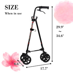 Wheel with brake Cane II Working cane used like a handrail Seniors Adults Floral