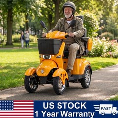 800W All Terrain Electric Mobility Scooters for Seniors 500lbs 60V/20A 31 miles