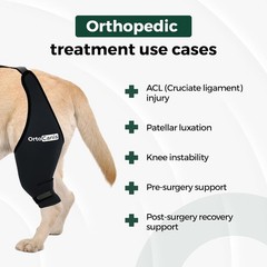 Lightweight Mini Dog Knee Brace for Right Leg – Supports ACL Recovery & Mobility