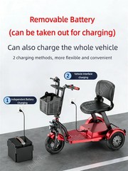Daibot 3 Wheel Folding E Trike 1000W Electric Scooter Senior Removable Battery