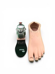 College Park K2 Odyssey Hydraulic Ankle Prosthetic Foot. Size 25. Category 2