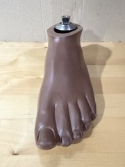 WillowWood SACH Prosthetic Foot with Integrated Titanium Pyramid 25cm
