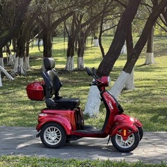 Heavy Duty 4-Wheel Senior Mobility Scooter 31 Miles 3-Speed 800W 500lbs Capacity