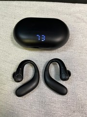 Royal Hearing F-Aid Black Noise Cancellation Rechargeable Hearing Aids W/ Manual