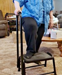 STEP STOOL WITH HANDRAIL HEAVY DUTY BEDSIDE BATHROOM MOBILITY AID FOR SENIORS