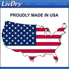 LivDry 2-Pack = 20ct Incontinence Underwear Overnight Comfort Leak Protection
