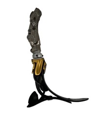 Soleus prosthetic foot Pneumatic Knee