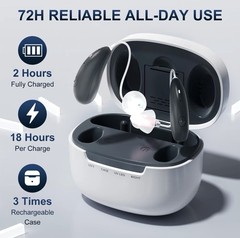 Ceretone Beacon Silver OTC Receiver-In-Canal Hearing Aids – Clear Music & Calls