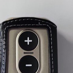 Phonak PilotOne II Hearing Aid Remote Control Silver Black Leather Belt Holster