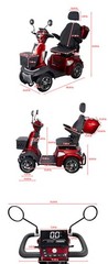 NeoTamarix 500W Heavy Duty Mobility Scooters Outdoor 48V 20Ah with Remote Lock